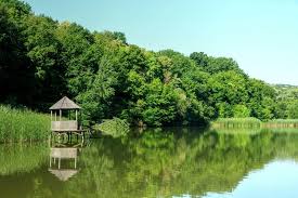 Rezervația naturală “Plaiul Fagului”