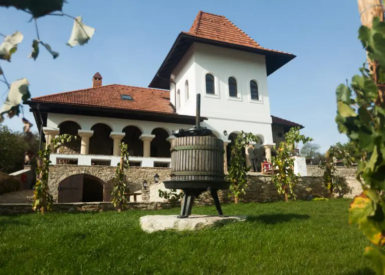Plimbare prin podgoriile cu cea mai mare altitudine din Moldova la Crama Mircesti winery
